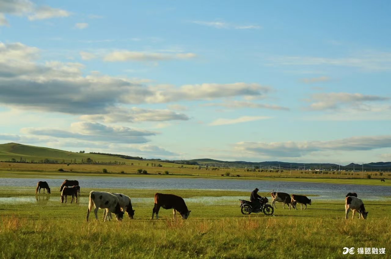 锡林郭勒大草原
