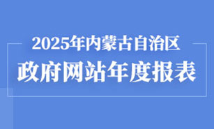 2025年内蒙古自治区政府网站年度报表